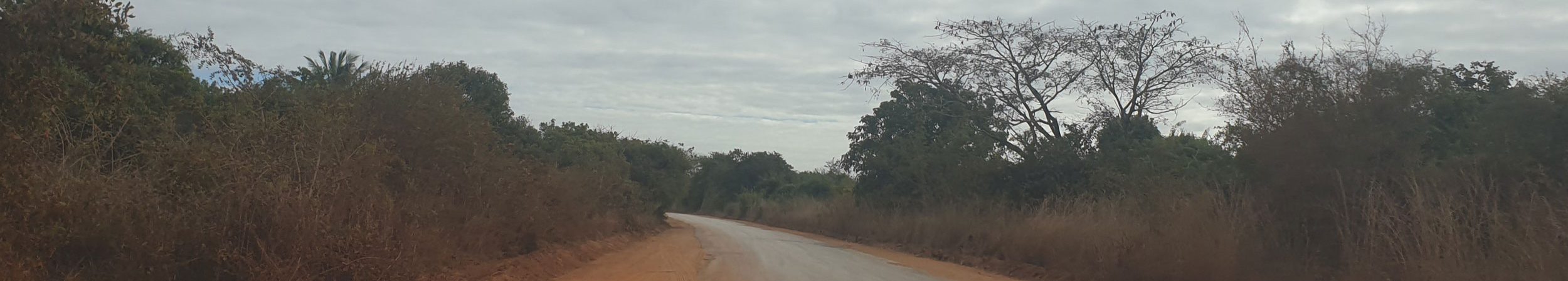 Mozambique EN1 Road