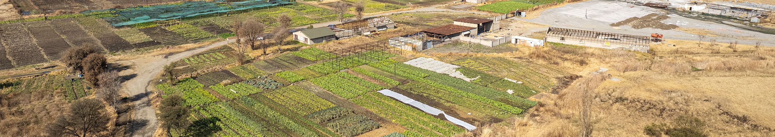 Esperanza farm in secunda