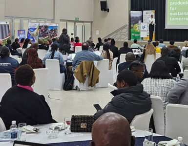 Mpumalanga Green Innovation Challenge